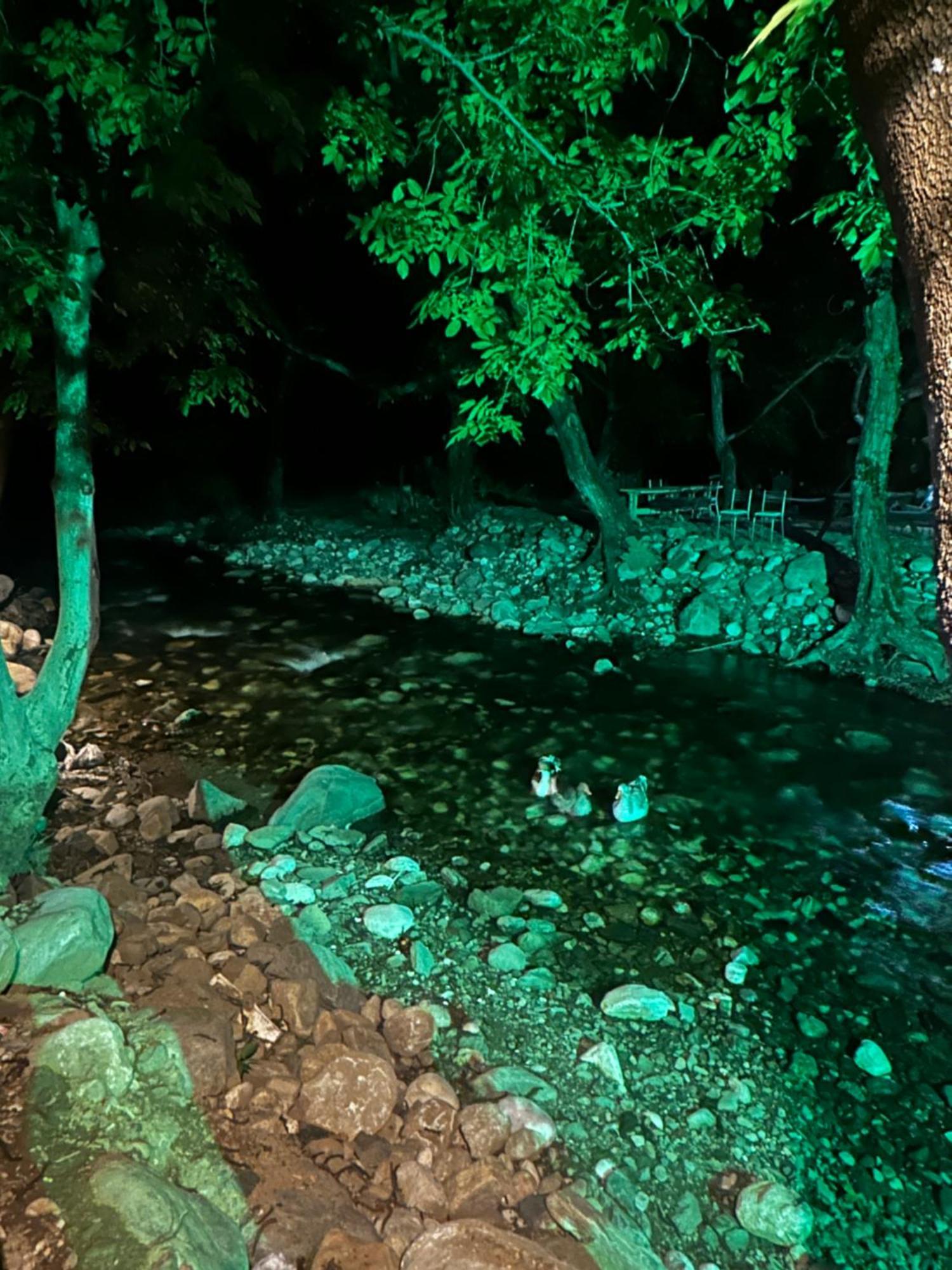 Sakliderebutikotel เอเดรมิท ภายนอก รูปภาพ